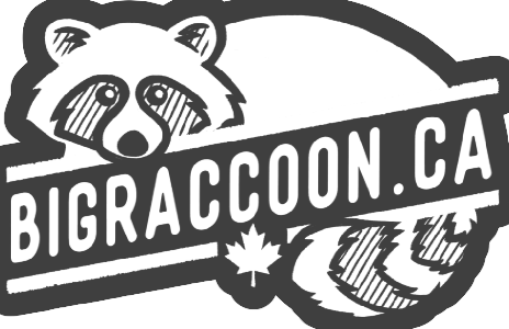 black and white ink sketch of raccoon, text bigracoon.ca